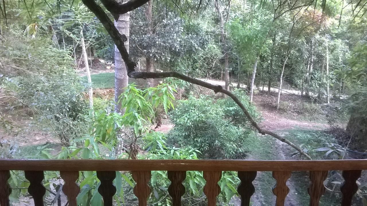 Вилла Tree House-Midigama Велигама Экстерьер фото
