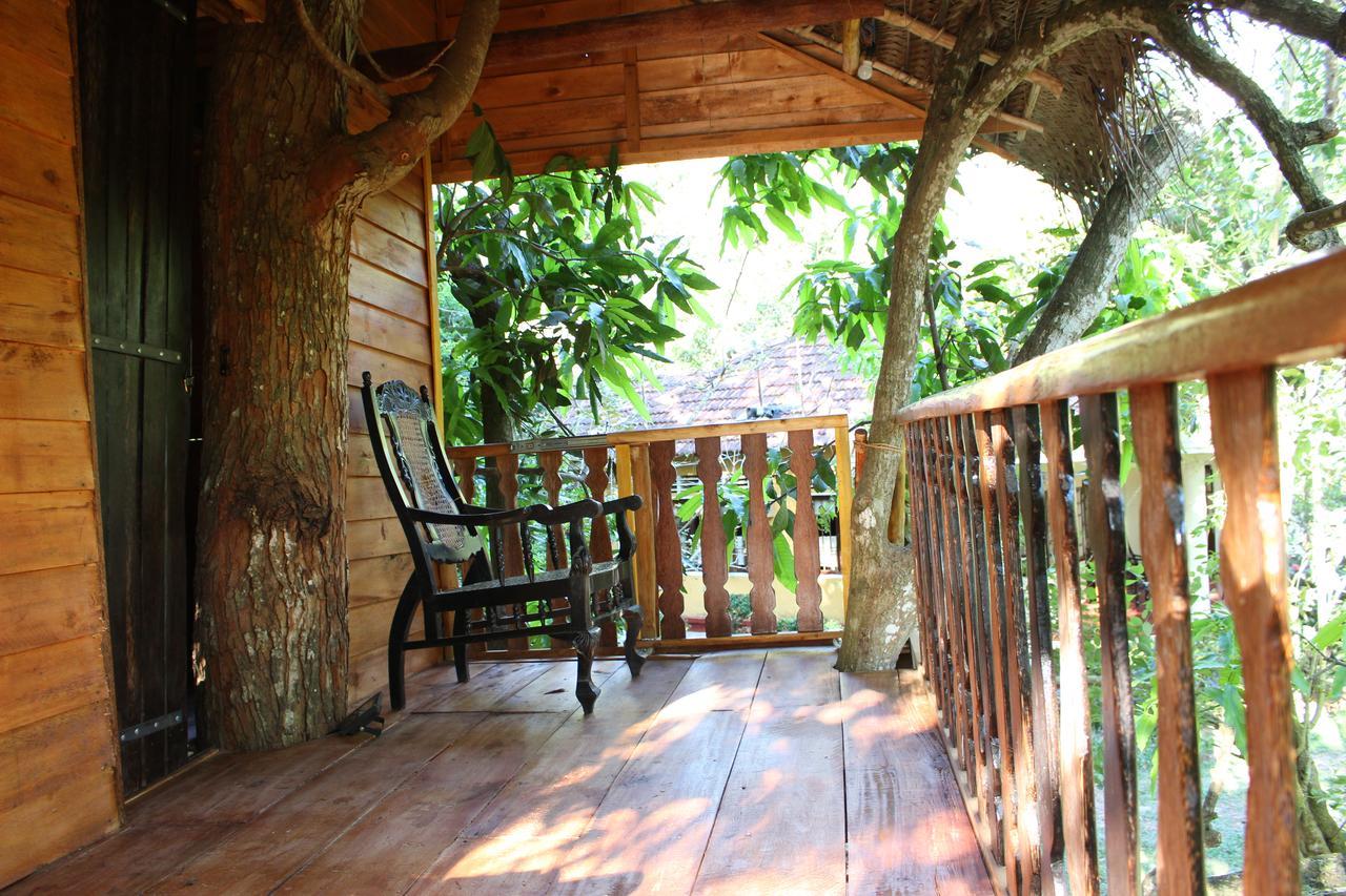Вилла Tree House-Midigama Велигама Экстерьер фото