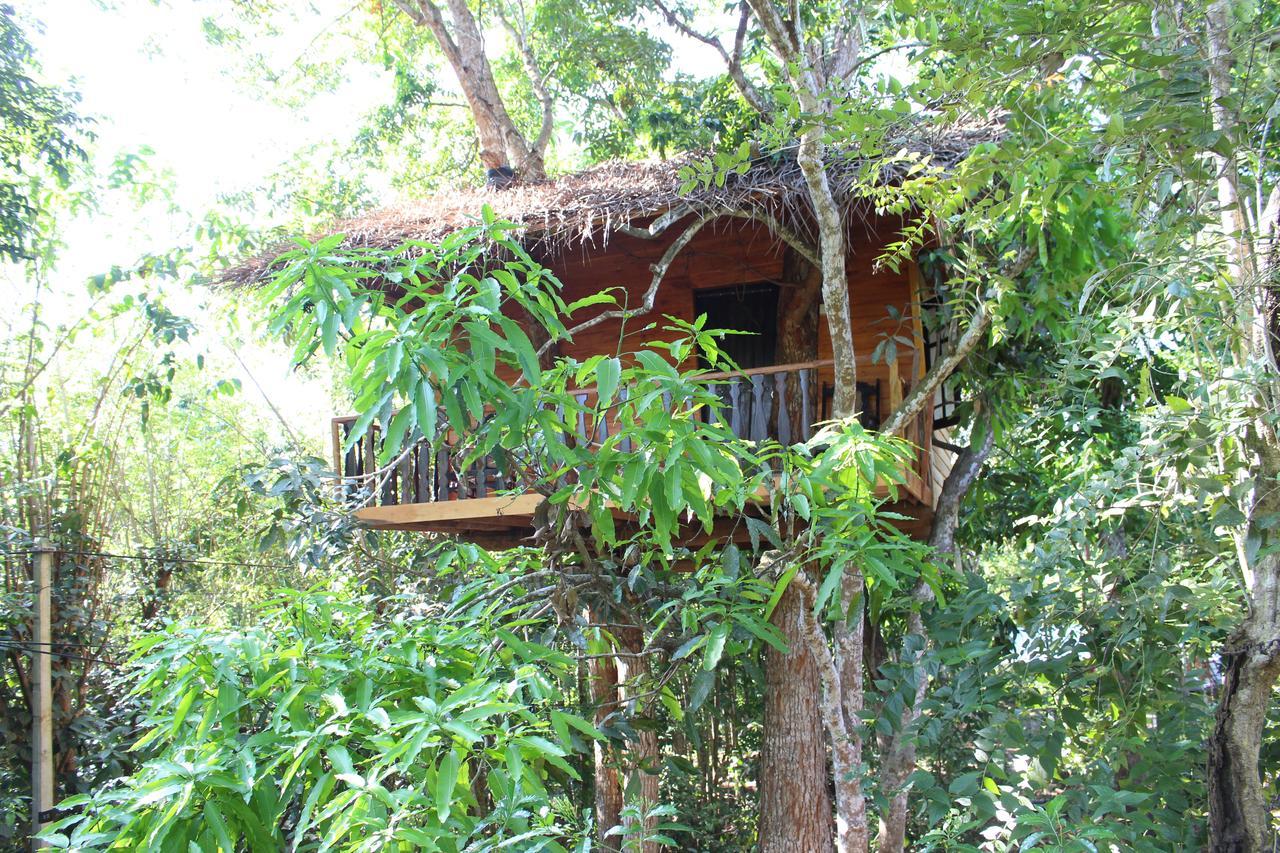 Вилла Tree House-Midigama Велигама Экстерьер фото