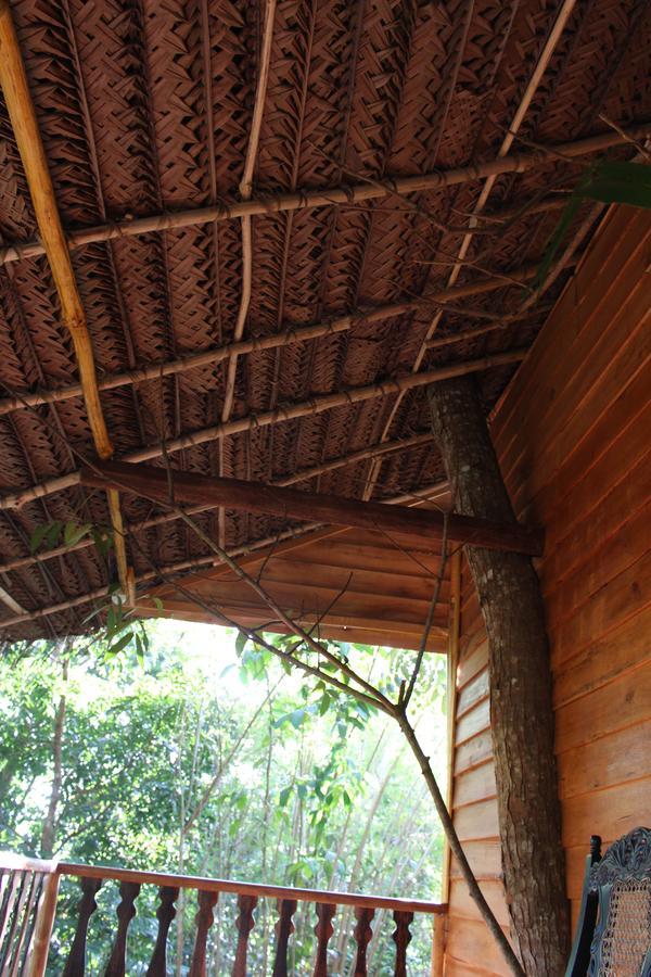 Вилла Tree House-Midigama Велигама Экстерьер фото