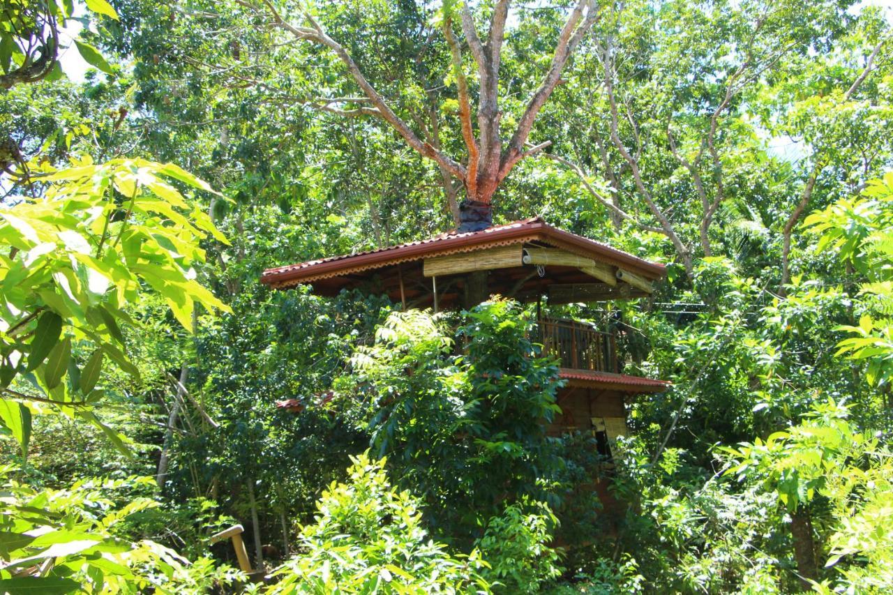 Вилла Tree House-Midigama Велигама Экстерьер фото