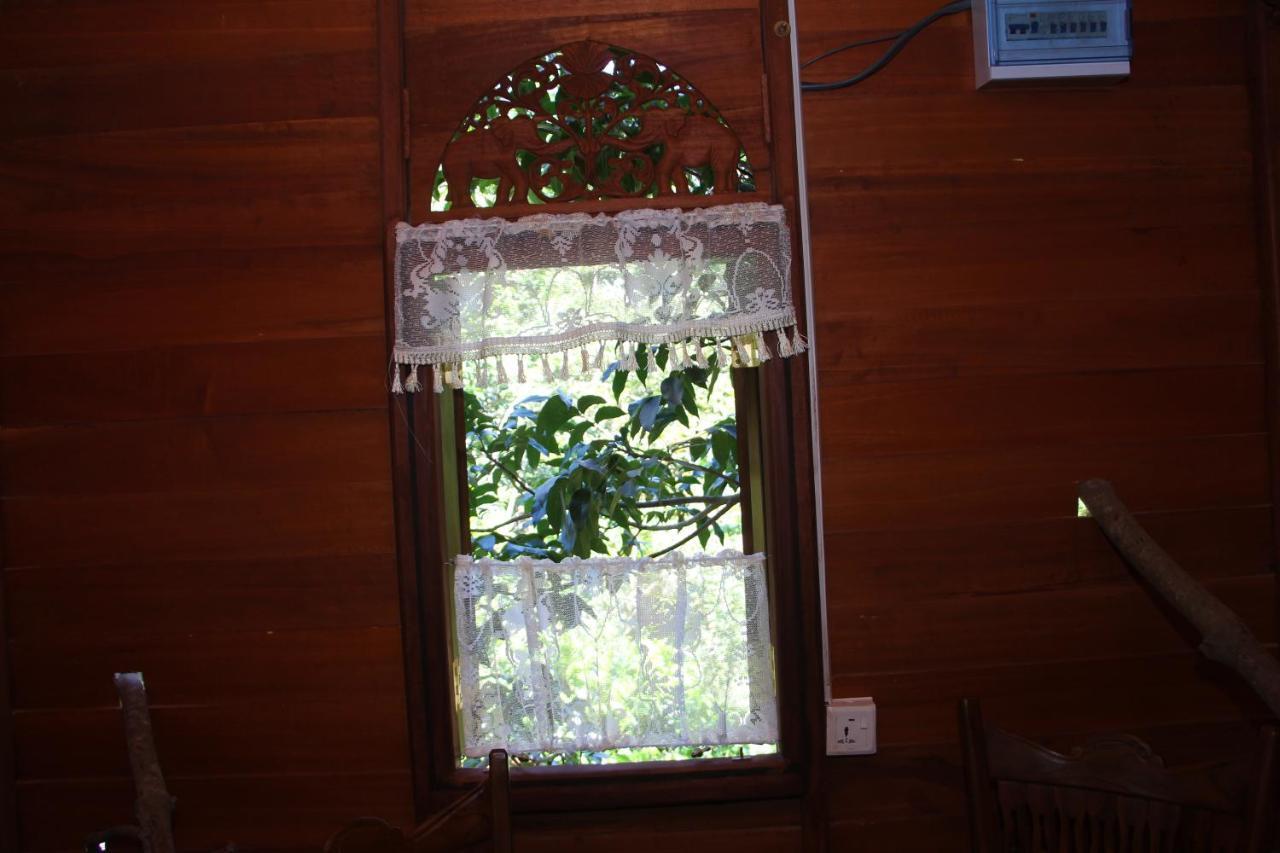 Вилла Tree House-Midigama Велигама Экстерьер фото