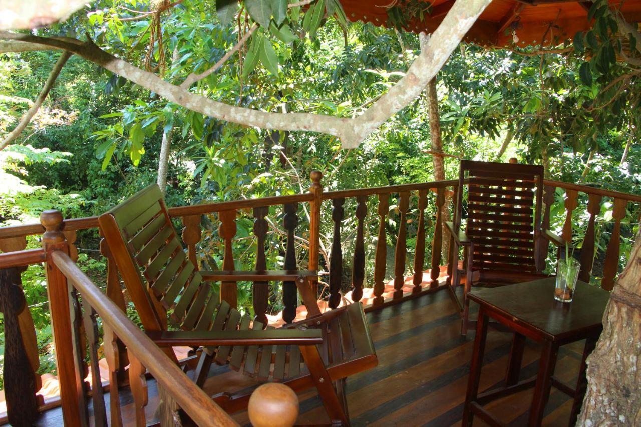 Вилла Tree House-Midigama Велигама Экстерьер фото