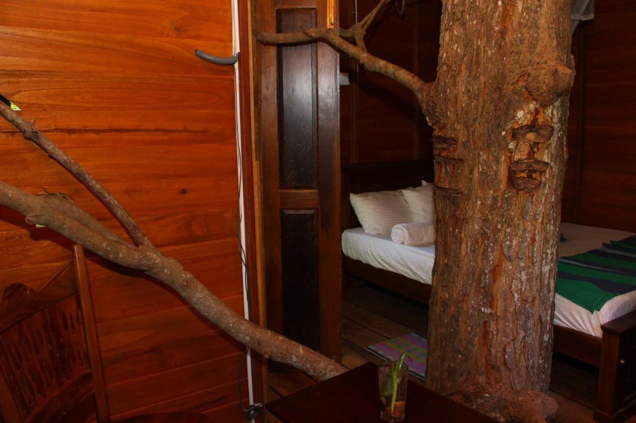 Вилла Tree House-Midigama Велигама Экстерьер фото